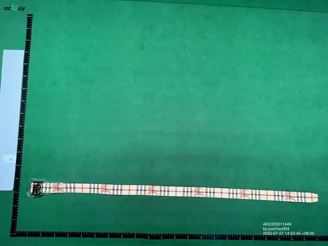 Burberry Check Belt Classic Nova Check