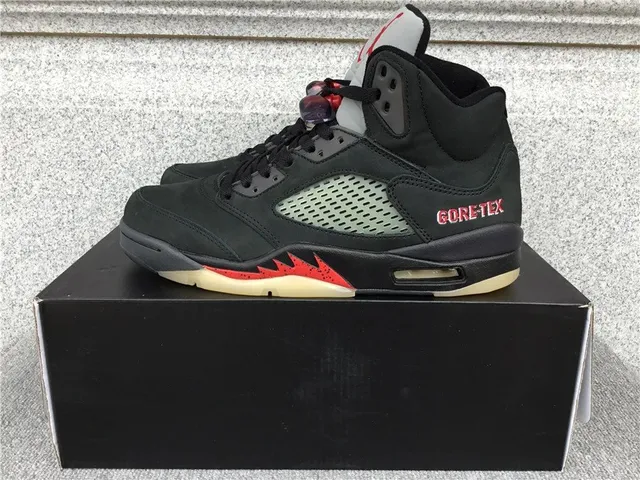 Air Jordan 5 GORE-TEX