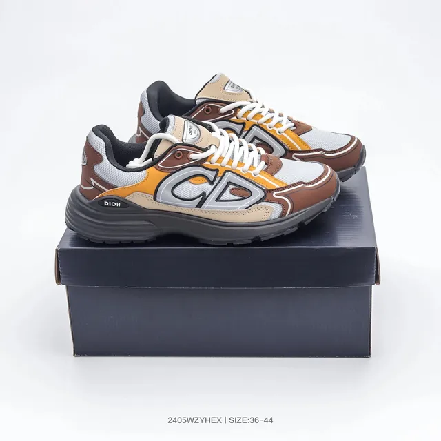 Dior B22 Multicolor