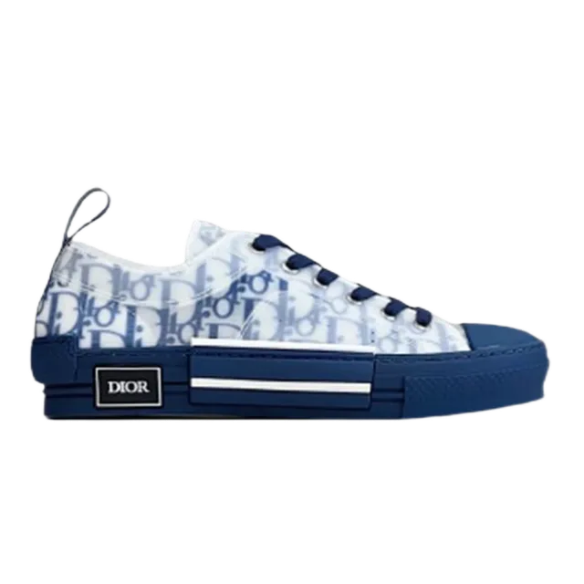Dior B22 Low Oblique Print
