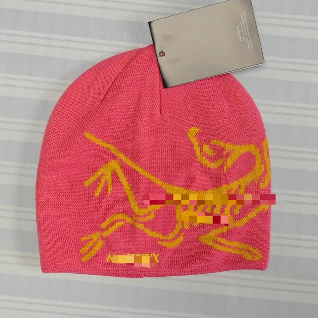 Beanie Arc'teryx Logo