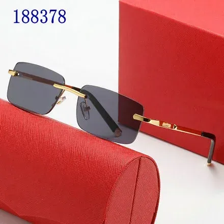 Santos de Cartier Rimless Square
