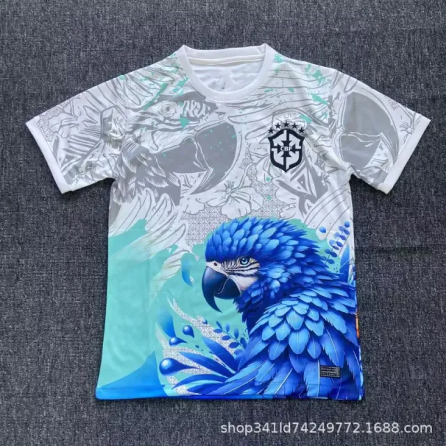 巴西26