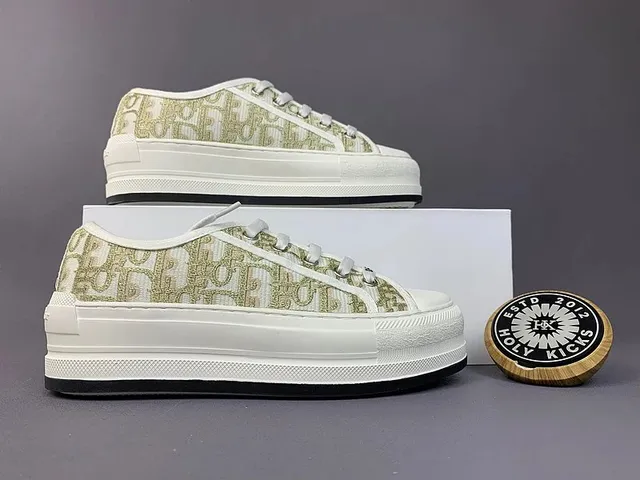 Dior B22 Oblique Print