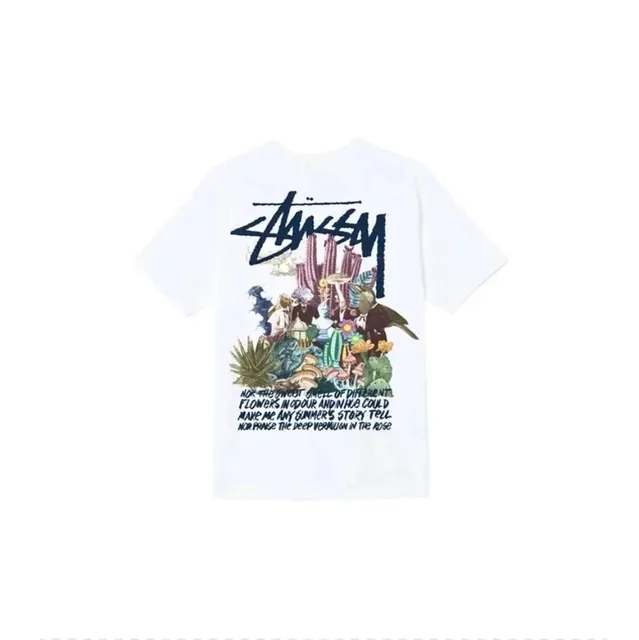 Stüssy t shirts
