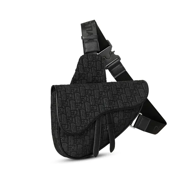 Dior Saddle Bag Oblique Monogram