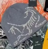 Arc'teryx Beanie Dinosaur Skeleton Print