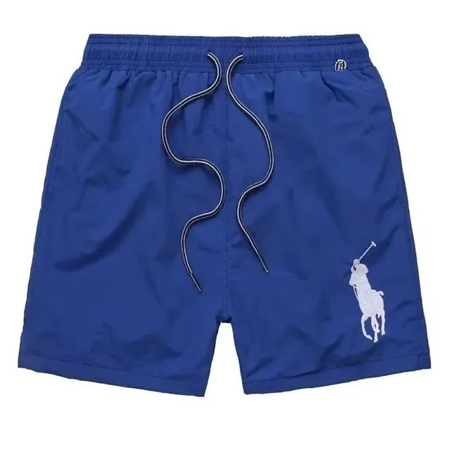 Polo Ralph Lauren Polo Shorts Big Pony