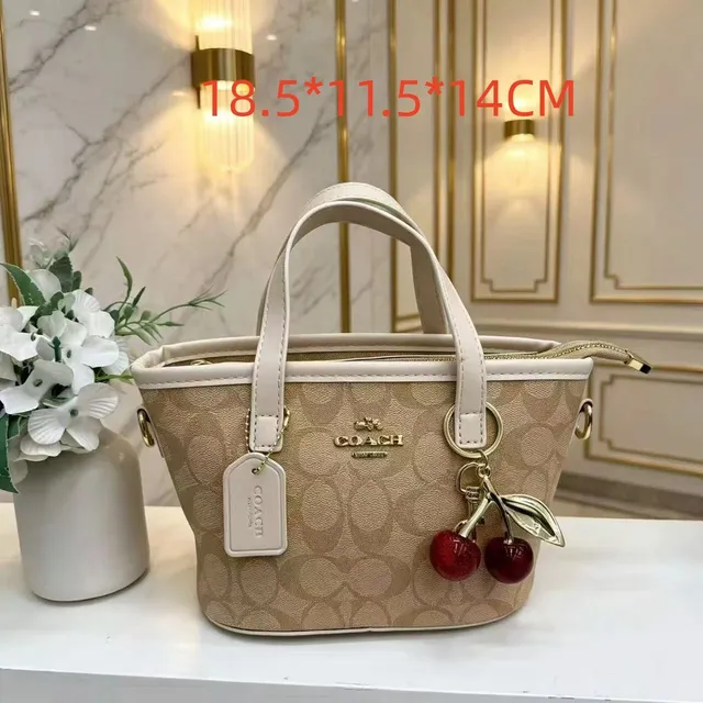 Coach Mini Carryall Signature Canvas with Cherry Charm