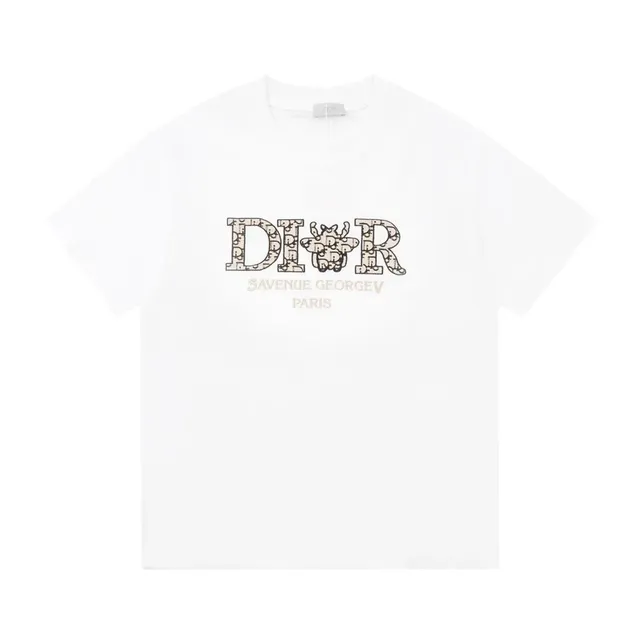 Dior Graphic T-Shirt Oblique Logo Print