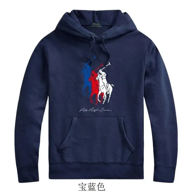Polo Ralph Lauren Hoodie Big Pony Tri-Color