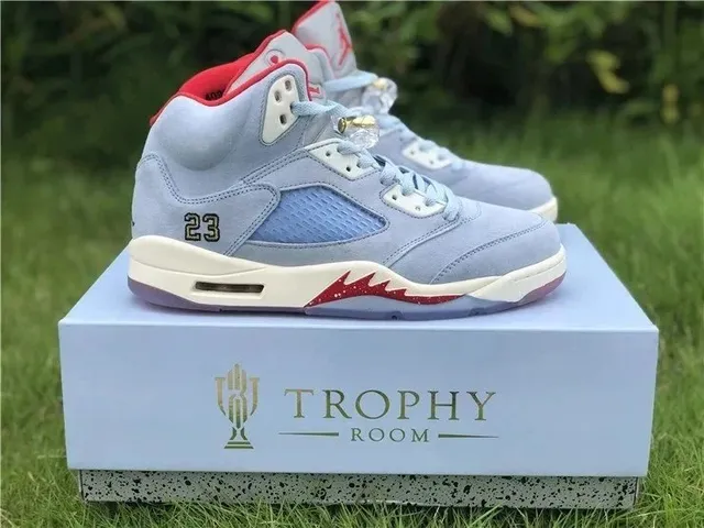 Air Jordan 5 Laney