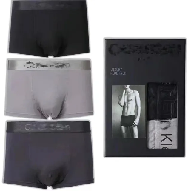 Calvin Klein Boxer Brief Luxury Redefined
