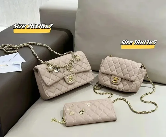 Chanel Classic Flap Bag Quilted with Charm Chain