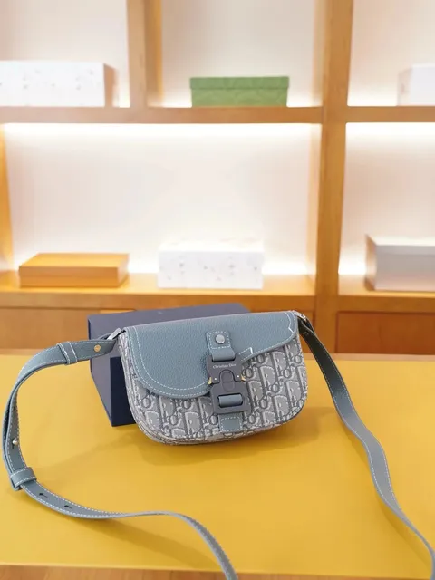 Dior handbags Oblique Print