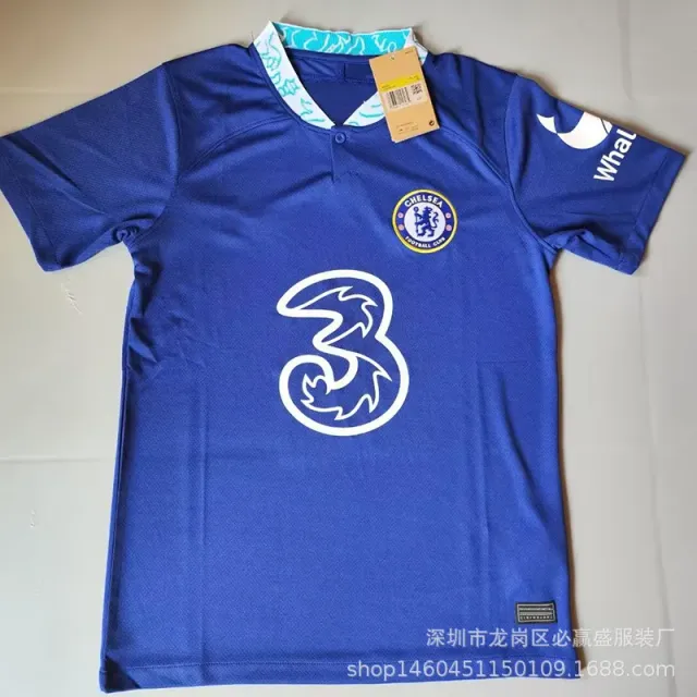 22-23切尔西主场