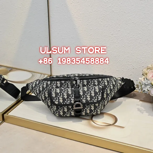 Dior Belt Bag Oblique Print