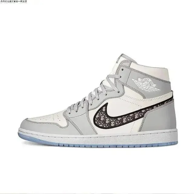 Air Jordan 1 High Dior
