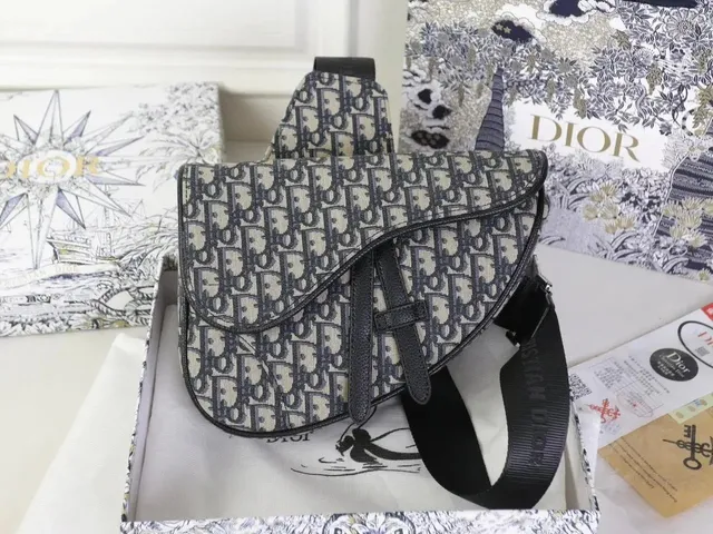 Dior Saddle Bag