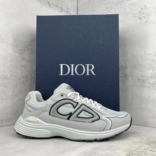 Dior B22 Grey/White
