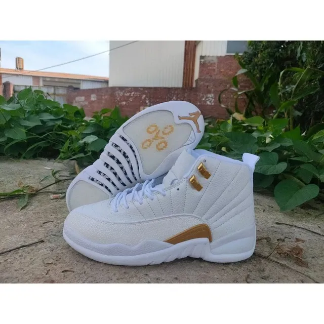 AJ12-白金