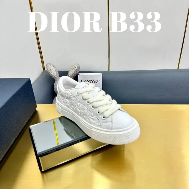 Dior B33