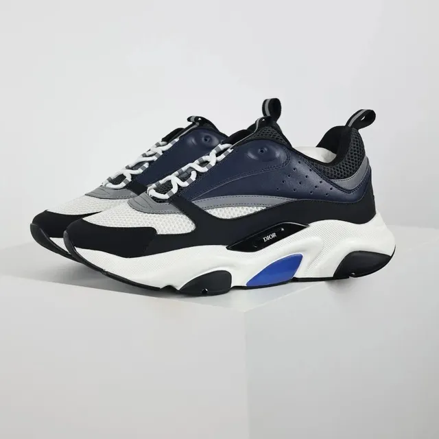 Dior B22