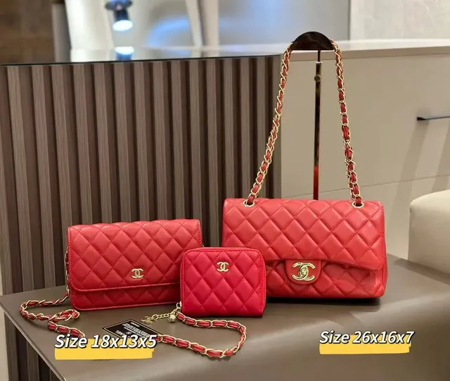 Chanel handbags