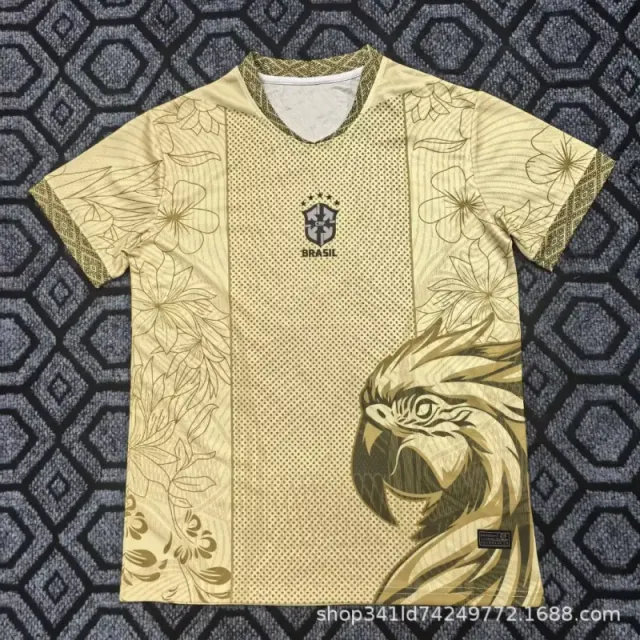巴西53