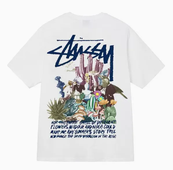 Stüssy t shirts