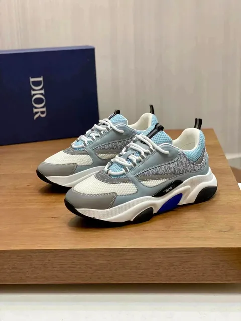 Dior B23 Low Oblique Print
