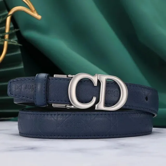 Dior CD Belt Navy Leather