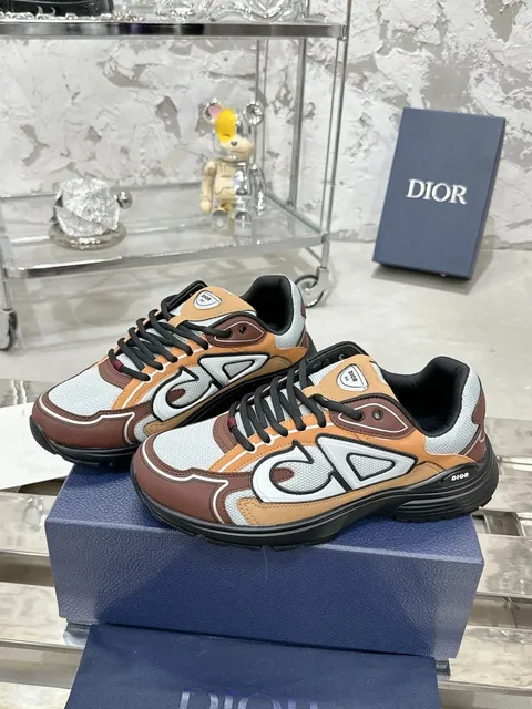 Dior B22 Multicolor