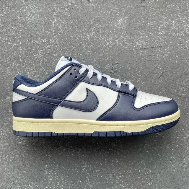 Nike Dunk Low Navy and White