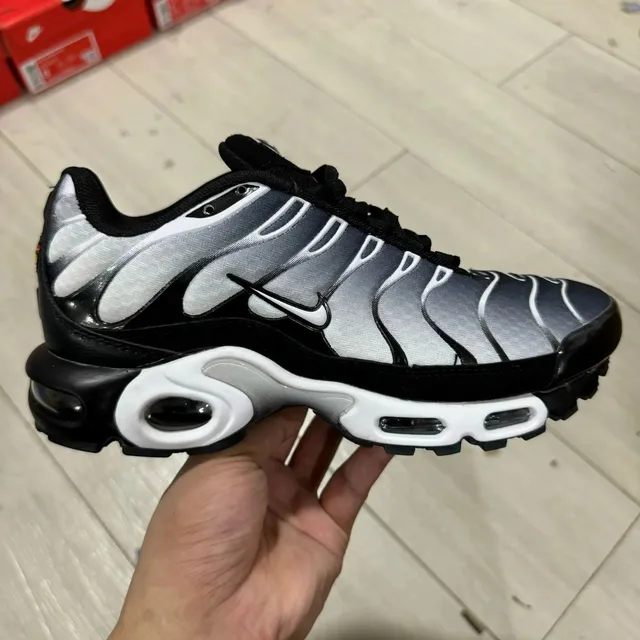 Nike Air Max Plus Metallic Silver