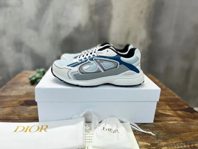 Dior B22 White Navy Grey