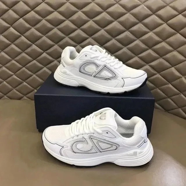 Dior B22 White Grey