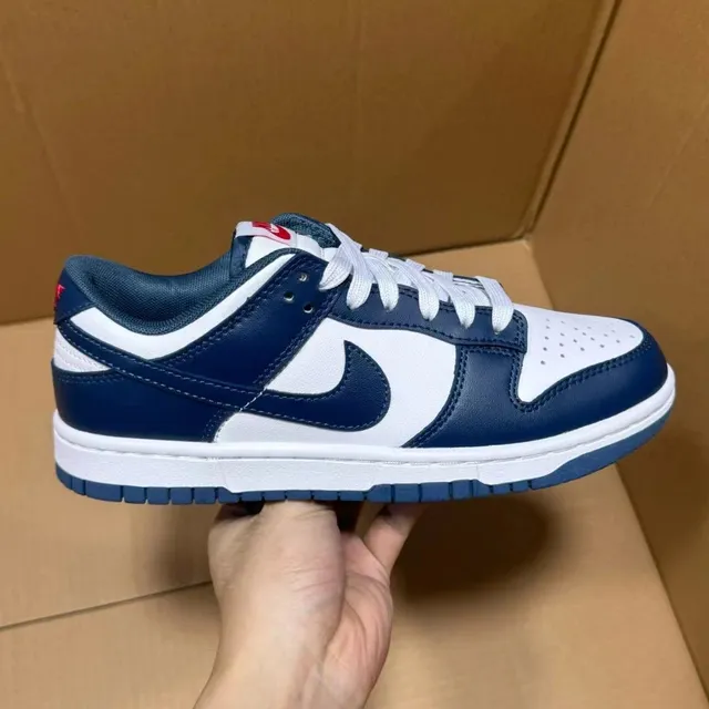 Nike Dunk Low Navy and White