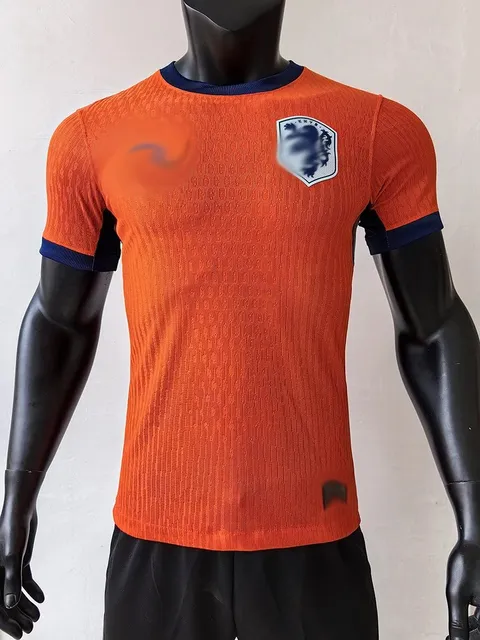 Nike Home Jersey KNVB Lion Crest