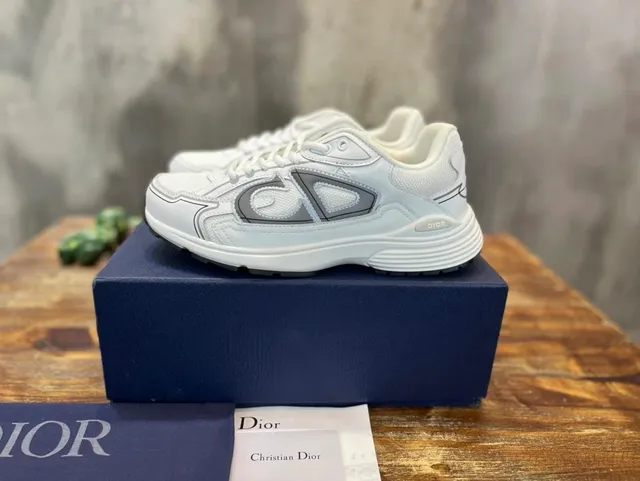 Dior B22 White Grey