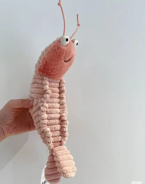mantis shrimp