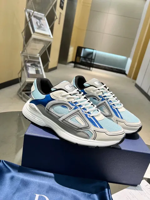 Dior B22 Blue and Grey Mesh