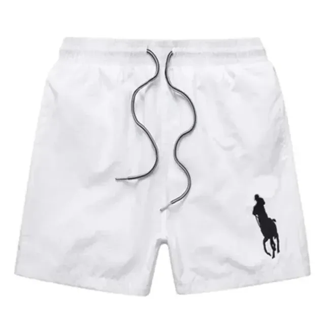 Polo Ralph Lauren Polo Shorts Big Pony