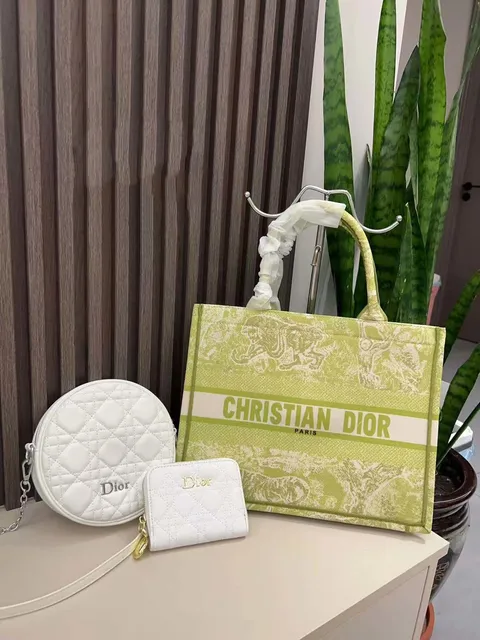 Dior Book Tote Tiger Print