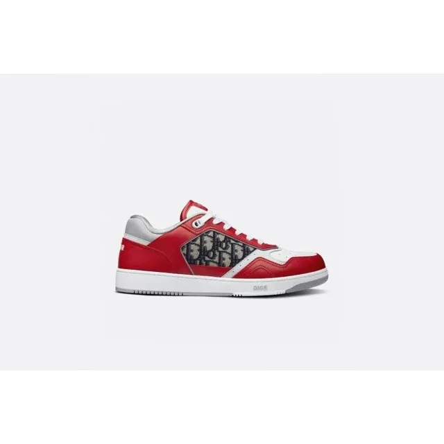 Dior B22 Low Oblique Print