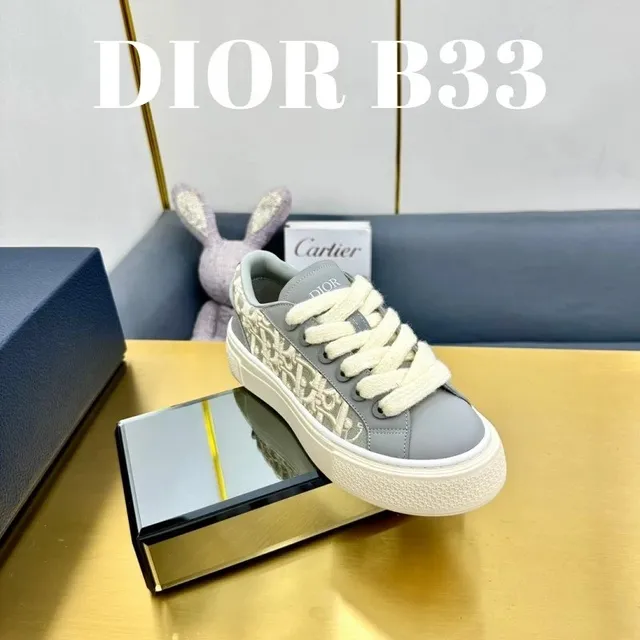 Dior B33