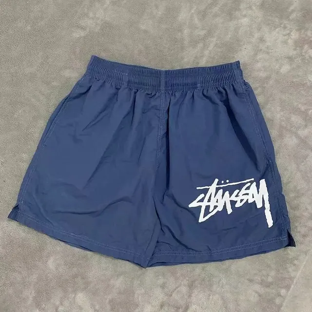 Stüssy Logo Shorts Script Logo