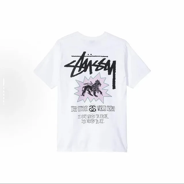 ST01白