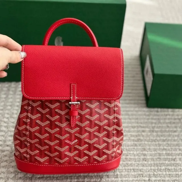 Goyard St. Louis Backpack Red Chevron