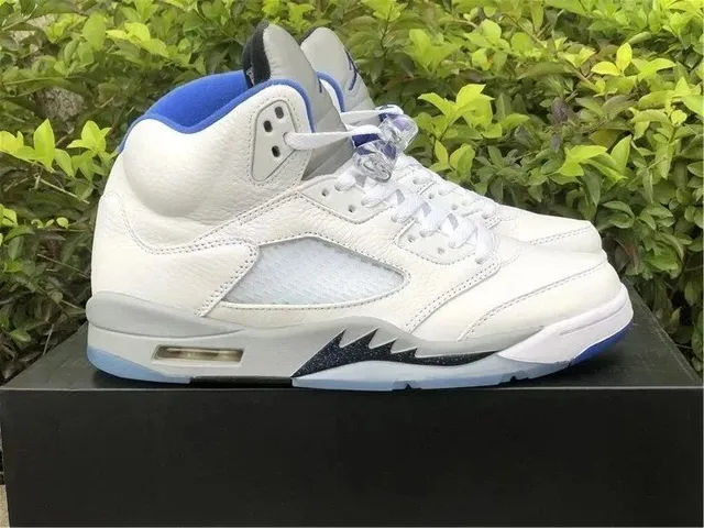 Air Jordan 5 Laney